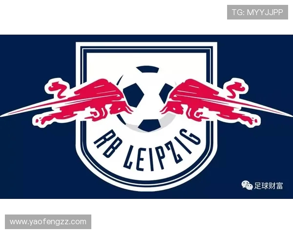 德甲会员制俱乐部排名榜，球迷支持度排行